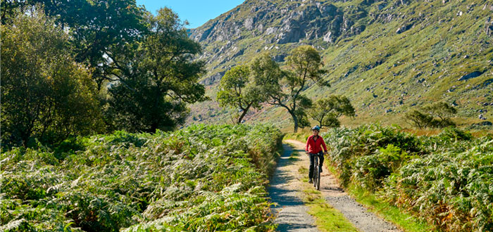 parque-nacional-connemara