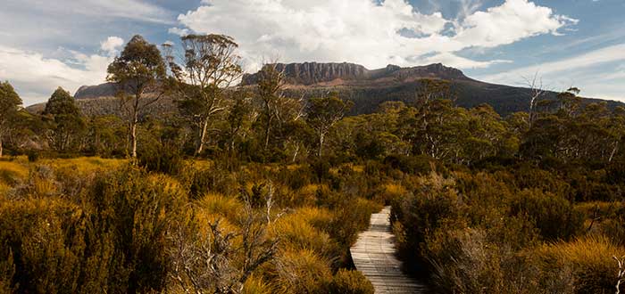 senderismo-isla-tasmania