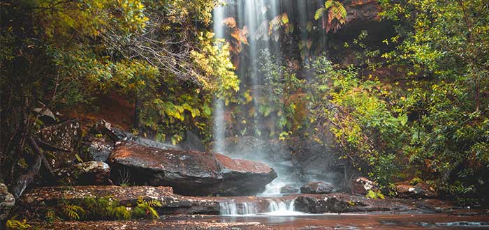 excursiones-desde-sydney-royal-national-park