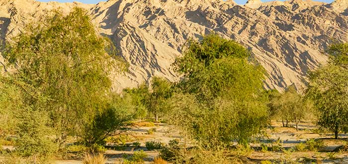 que-ver-en-emiratos-arabes-unidos-parque-nacional-jebel-hafeet