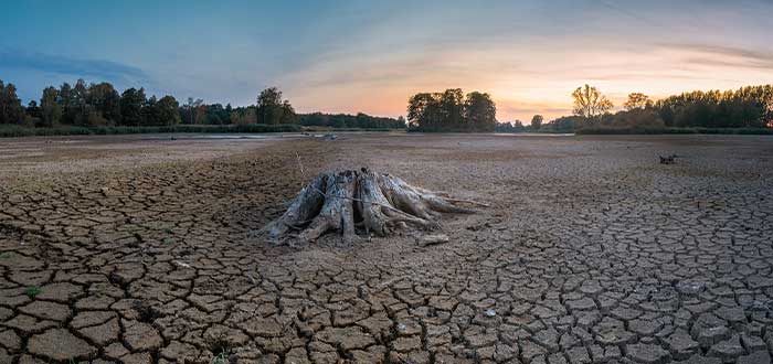 Sequía, una de las 7 crisis ambientales del planeta 