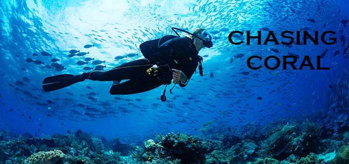 Documentales sobre medio ambiente Chasing Coral