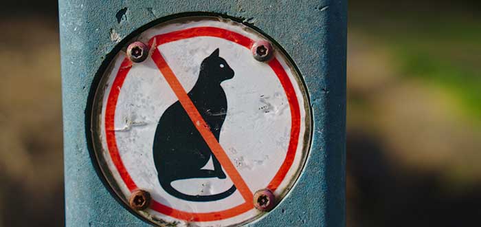 Prohibición de mascotas, una del reglas curiosas en Australia